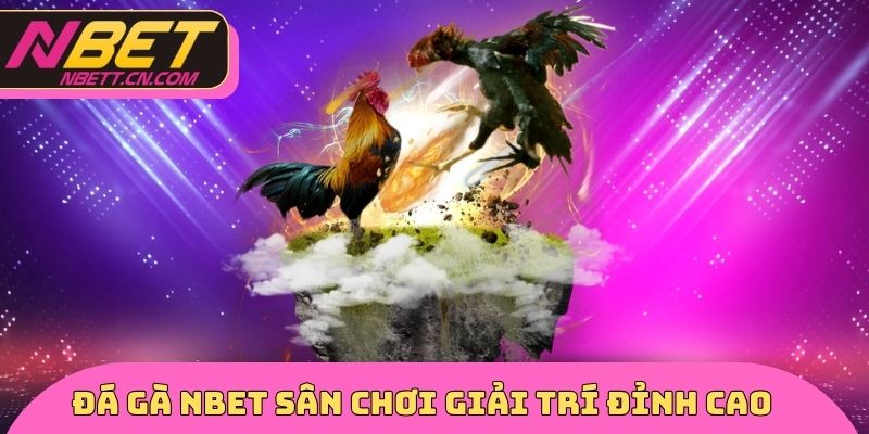 Đá gà NBET sân chơi giải trí đỉnh cao